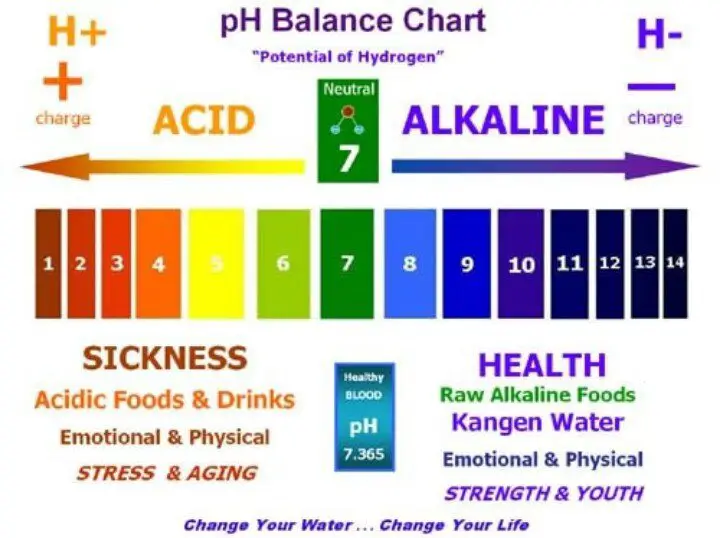 List Of Alkaline Foods The Ph Balanced Diet Awaken