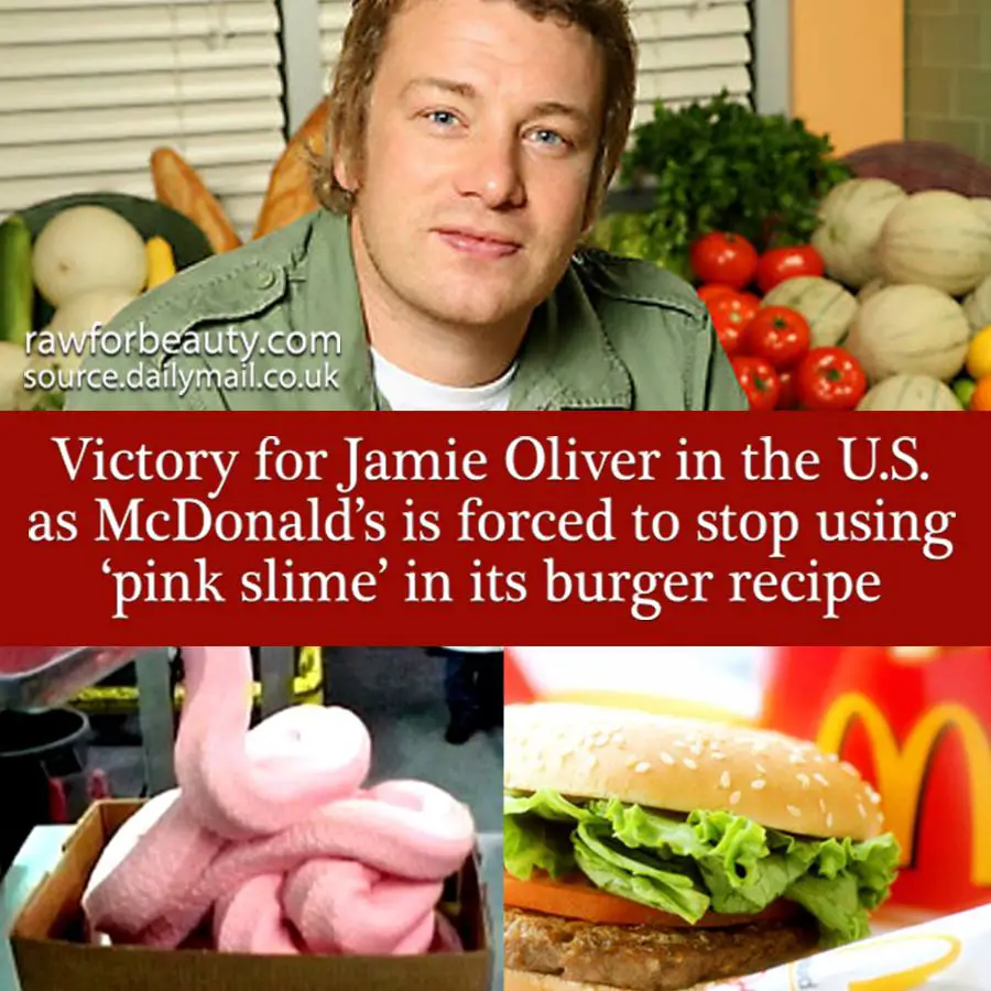 Evolution Pie – Jamie Oliver Beats McDonald&#39;s &#39;Pink Slime&#39;